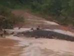 penampakan-buaya-di-penangkaran.jpg