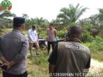 penampakan-harimau-di-kampar-penghidupan.jpg