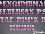 pengumuman-kelulusan-p3k-atau-pppk-di-rohul-99-pelamar-dinyatakan-lulus-ini-jadwal-pemberkasannya.jpg