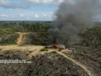 penyegelan-lahan-terbakar-di-taman-nasional-tesso-nilo_20160719_215133.jpg