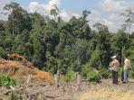 perambahan-hutan-tnbt-inhu.jpg