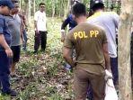 perangkap-harimau-hutan-kota-siak.jpg