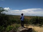 perkebunan-sawit-di-kawasan-eks-pt-srt_20170610_234916.jpg