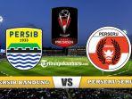 persib-bandung-vs-perseru-serui-penyisihan-grup-a-piala-presiden-2019.jpg