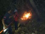 petugas-damkar-memadamkan-api-karhutla.jpg