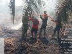 petugas-lakukan-pemadaman-di-siak-kecil-bengkalis.jpg