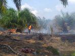 petugas-padamkan-api-karhutla-pelalawan.jpg