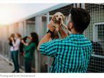 pilih-adopsi-anjing-ketimbang-punya-anak-buat-populasi-italia-menurun.jpg