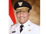 plt-gubernur-riau-wan-thamrin-hasyim_20181028_161930.jpg