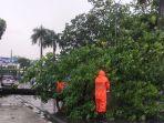 pohon-tumbang-sudirman-pku.jpg