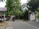 pohon_tumbang_di_jalan_singgalang_akibat_cuaca_ekstrem_di_pekanbaru.jpg