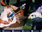 polisi-amankan-petasan-ilegal-di-riau-razia-sambut-tahun-baru-2020-juga-sita-kembang-api-ilegal.jpg