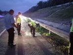 polisi-olah-tkp-kecelakaan-di-jalan-tol-pekanbaru-dumai-yang-sebabkan-mahasiswi-tewas.jpg