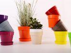 pot-bunga-tanaman-hias.jpg