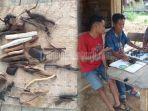 ramuan-tradisional-talang-mamak-di-riau-33-tumbuhan-dipercaya-lawan-banyak-penyakit-juga-covid-19.jpg