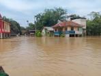 rumah-milik-warga-Desa-Lubuk-Kembang-Bunga-Ukui-banjir.jpg