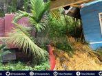 rumah-warga-riau-nyaris-tertimbun-longsor-pelalawan-diguyur-hujan-deras-penjaga-sekolah-selamat.jpg