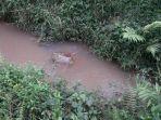 saluran-air-tkp-penemuan-mayat-di-kampung-cimenyan-desa-sukadamai-bogor.jpg