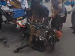seekor-kuda-yang-digunakan-untuk-menarik-delman-roboh.jpg