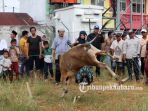 seekor-sapi-kurban-berusaha-kabur_20170903_123256.jpg