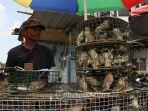 sejumlah-burung-pipit-dijual-di-pasar-sago-jelang-imlek.jpg