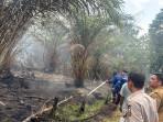Kabut Asap Mulai Berdampak, Peserta Didik Sekolah di Pekanbaru Kurangi Aktivitas Luar Ruangan