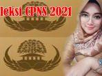 seleksi-cpns-2021-dan-seleksi-pppk-2021-di-kuansing-ini-penjelasan-bkd-kuansing.jpg
