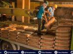 sempat-terlambat-semen-padang-berupaya-intensif-perlancar-pasokan-ke-pekanbaru-harga-tetap-stabil.jpg