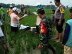 seorang-petani-mendadak-meninggal-dunia.jpg