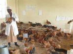 sulit-di-tengah-pandemi-sekolah-swasta-ini-harus-berubah-jadi-kandang-ayam-ayam-ayam-berkokok.jpg