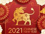 tahun-baru-china-atau-imlek-tahun-2021-kerbau.jpg