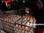 telur-ayam-sembako_20180613_132458.jpg<pf>telur-ayam-sembako_20180613_132633.jpg