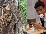 MISTERI Kerangka dalam Pohon Aren: Diyakini Yuda, Anak yang Hilang Sejak 2023