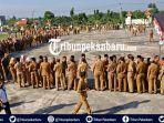 ternyata-15-honorer-di-pelalawan-riau-jadi-caleg-bagaimana-nasib-mereka-begini-penjelasan-bkp2d.jpg