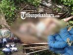 terungkap-mayat-wanita-tanpa-kepala-di-dumai-ternyata-sedang-hamil-muda-pakai-celana-dalam-korset.jpg