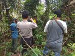 tim-bbksda-observasi-di-lokasi-kemunculan-harimau-di-inhu.jpg