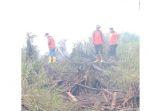 tim-gabungan-darat-rayon-teluk-meranti-padamkan-karhutla.jpg