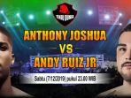 tinju-dunia-anthony-jushua-vs-andy-ruiz-jr.jpg