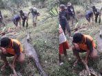 ular-piton-ditemukan-warga.jpg