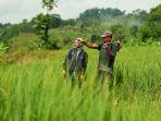 BRI Salurkan KUR Rp27,72 Triliun dalam 2 Bulan, Sebanyak 649,6 Ribu Pengusaha UMKM Terima Manfaat