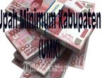 upah-minimum-kabupaten-umk_20181028_222502.jpg