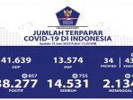 update-perkembangan-covid-19-indonesia-minggu-1462020.jpg