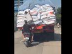 video-viral-bajing-loncat-curi-beras-dari-truk-bulog-di-dumai.jpg