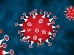 virus-corna-atau-covid-19.jpg