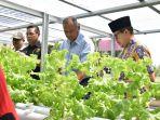 walikota-dumai-dan-gm-pertamina-ru-ii-panen-sayuran-sentra-hidroponik-bukit-mekar.jpg