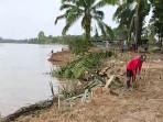warga-Desa-Kuala-Terusan-pasang-turap-kayu.jpg