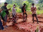 warga-datangi-makam-vanessa-dan-bibi-berdoa-dan-selfie_20211105.jpg