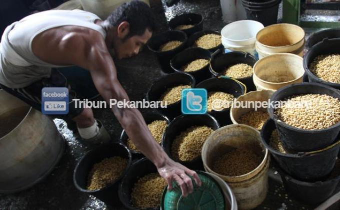 FOTO: Harga Belum Stabil, Pengusaha Tahu Enggan Stok Banyak - kedelai2.jpg
