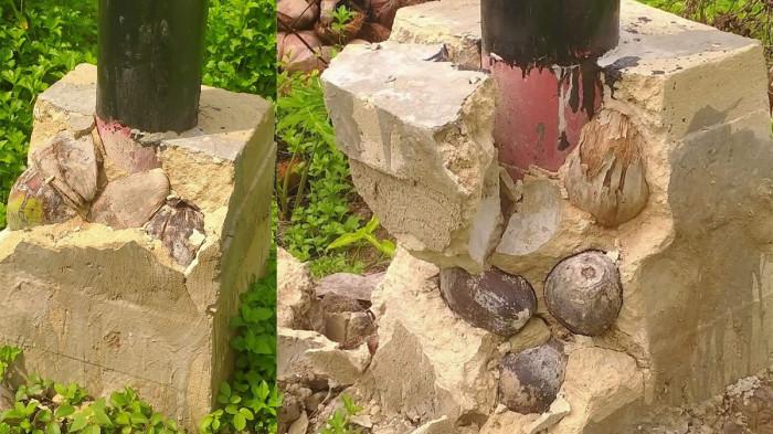 PONDASI TIANG KELAPA - Foto pondasi tiang listrik menggunakan batok dan buah kelapa di Desa Sarang Burung Usrat Kecamatan Jawai, Kabupaten Sambas, Kalimantan Barat, Rabu 11 November 2025. Warga yang merekam pondasi tiang listrik itu menyayangkan proses pengerjaan karena dapat mengkhawatirkan masyarakat, Rabu 11 November 2025.