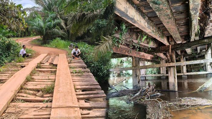 JEMBATAN KETAPANG RUSAK - Potrait Jembatan Benipis yang rusak di Dusun Karang Kumpang, Desa Tanjung Medan, Kabupaten Ketapang, Kalimantan Barat, Rabu 29 Oktober 2025. Jembatan kayu yang menjadi akses utama tiga desa menuju pusat Kabupaten Ketapang ini kini dalam kondisi memprihatinkan dan membahayakan pengguna jalan.